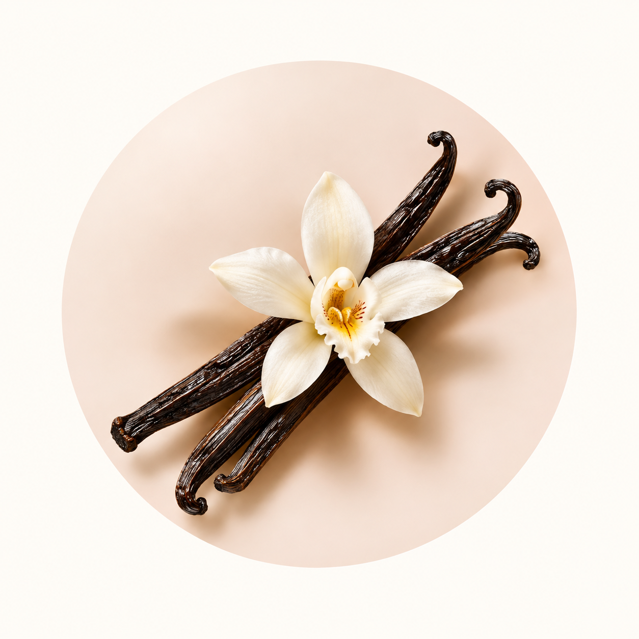 Ingrediente da família olfativa Gourmand